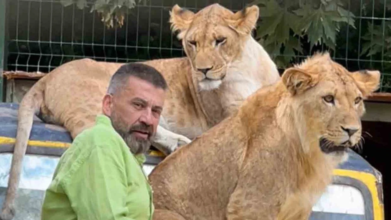 Aslan Zeus’un Sahibi Konuştu: “Sanki Çocuğum Öldürüldü”