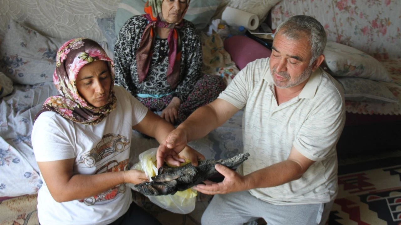 “90 Bin Lira Kül Oldu: Sarıdemir Ailesi Merkez Bankası’na Başvurdu”