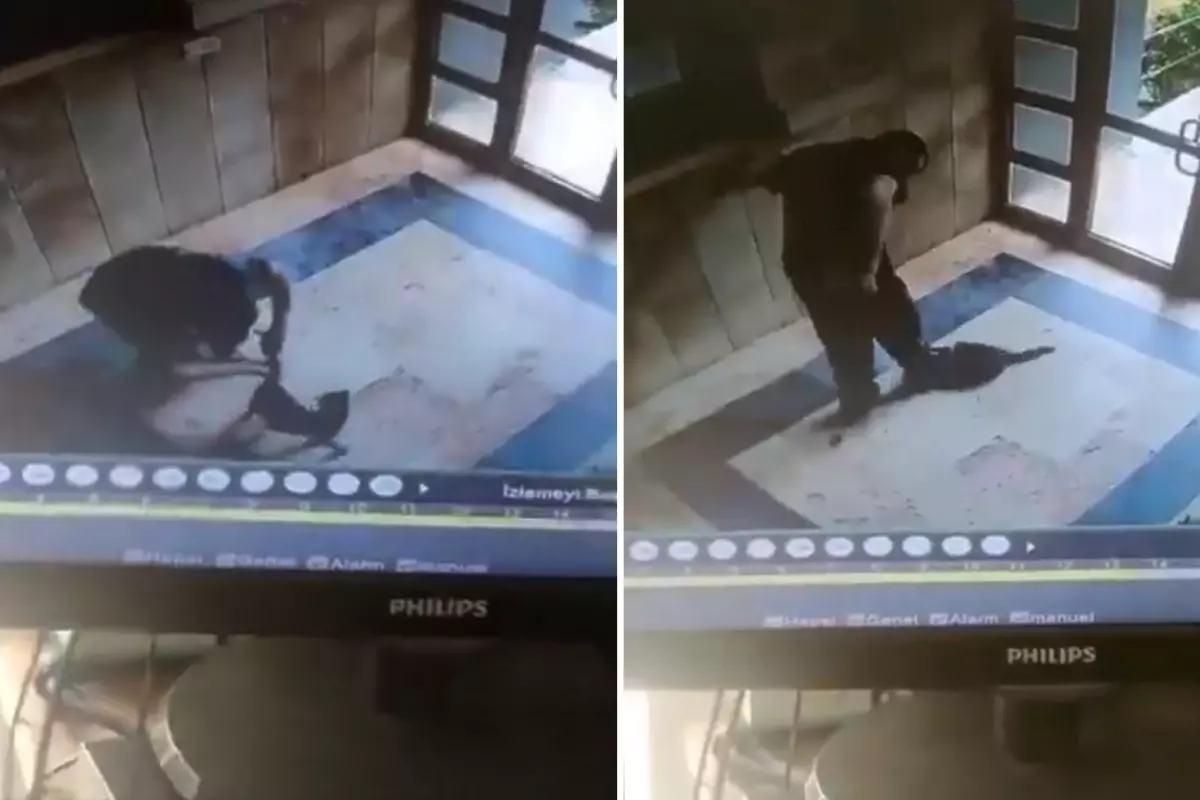 Kediyi Vahşice Öldüren Caninin Kan Donduran İfadesi Ortaya Çıktı