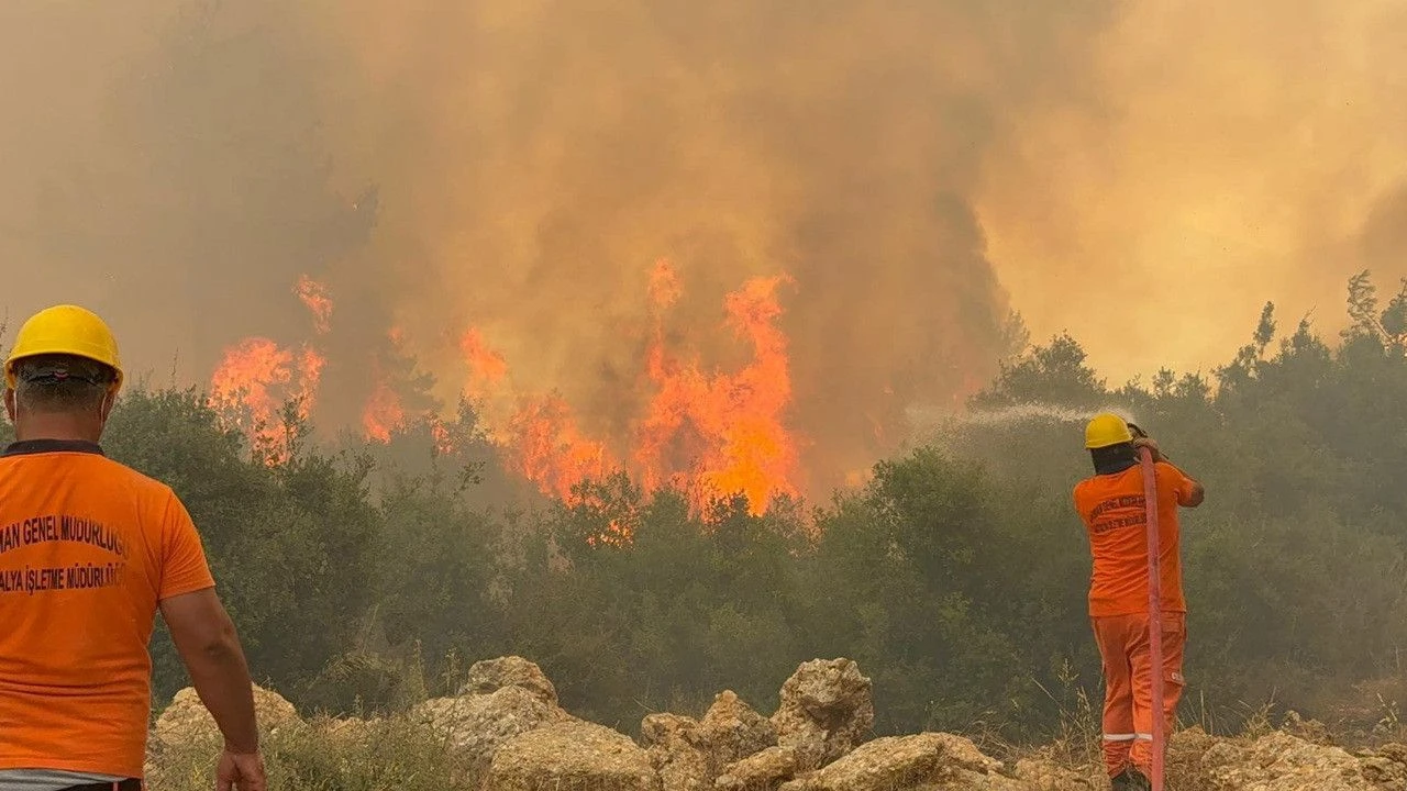 Antalya’da 118 Orman Yangını: 540 Hektar Kül Oldu