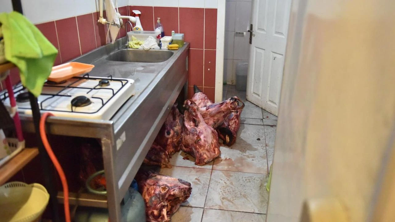 Kepez’de Şoke Eden Görüntüler: Depoda Çürük Etler ve Böcek Yumurtaları